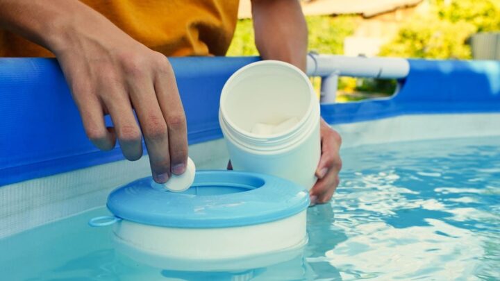 از علل تجمع باکتری ها در استخر شنا چه می دانید؟